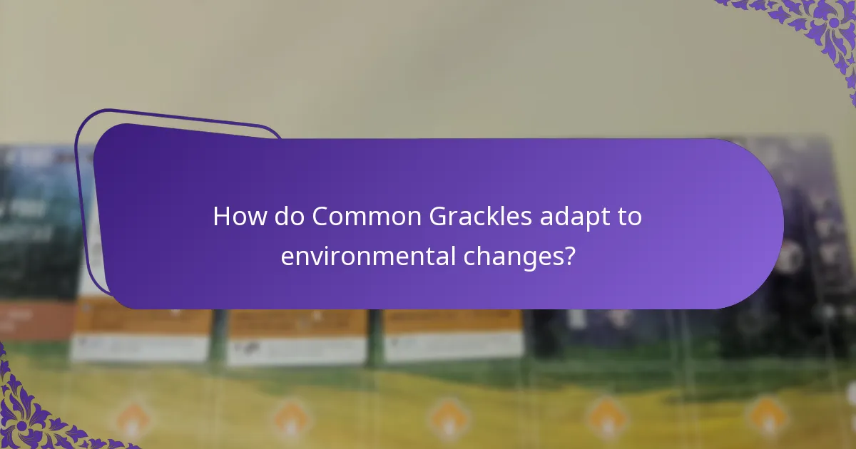 What habitats do Common Grackles prefer?