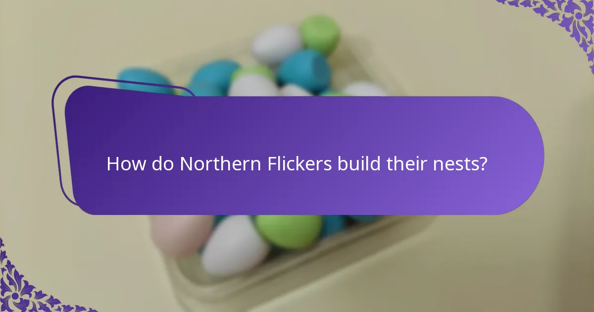 What type of habitat does the Northern Flicker prefer?