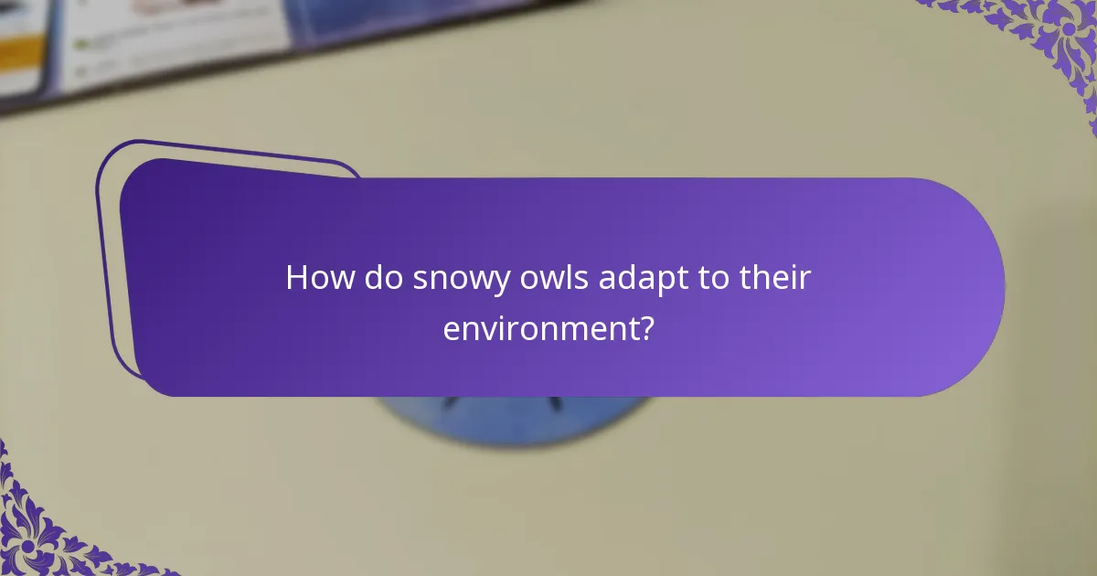 Where do snowy owls live?