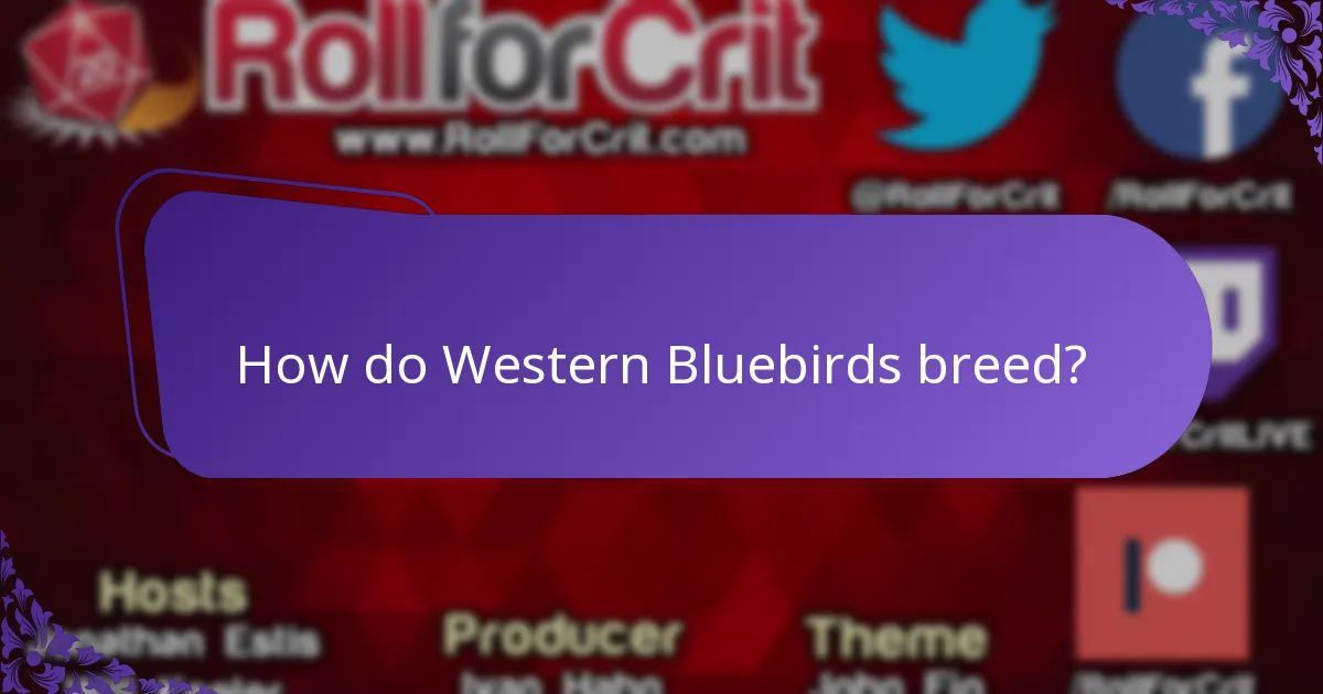 What does the Western Bluebird eat?