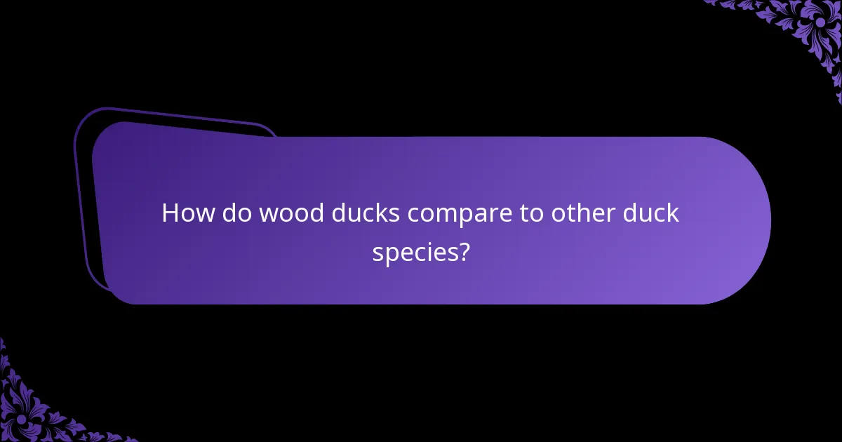 What type of habitat do wood ducks prefer?