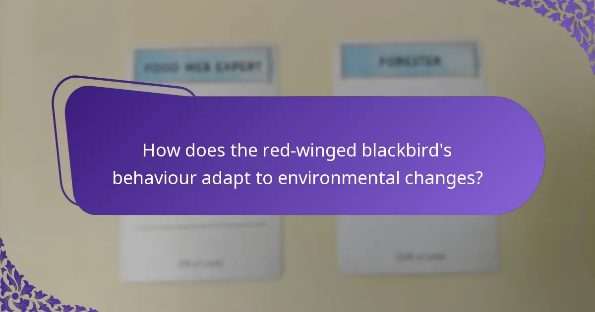 What does the red-winged blackbird eat?