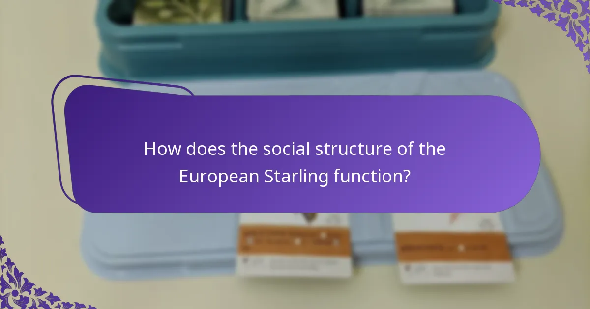 How does the social structure of the European Starling function?