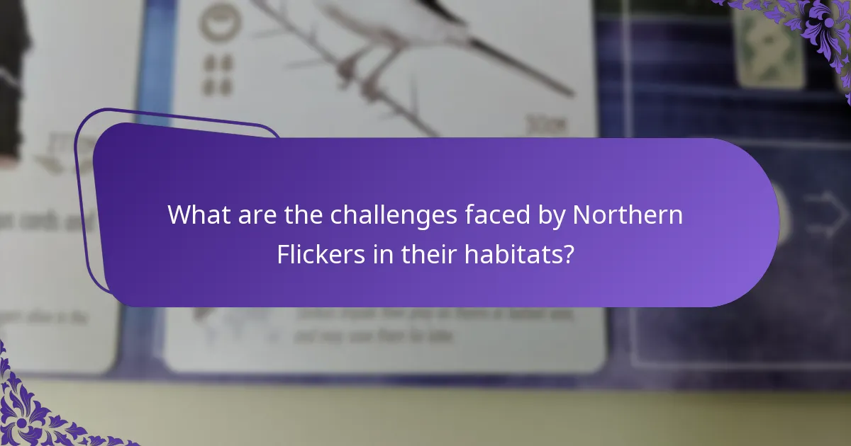 How do Northern Flickers build their nests?