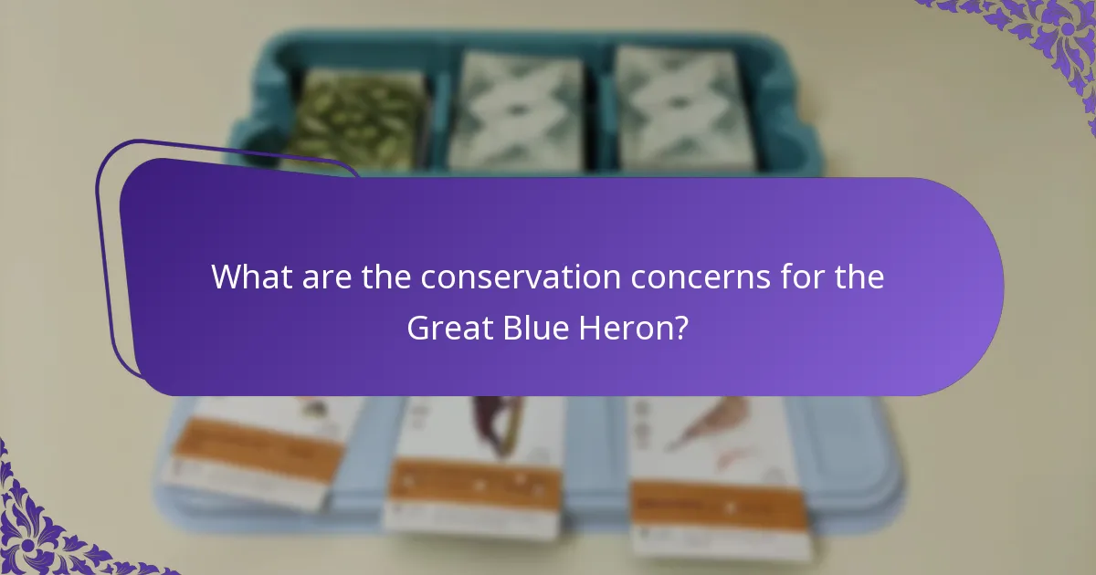 What are the conservation concerns for the Great Blue Heron?
