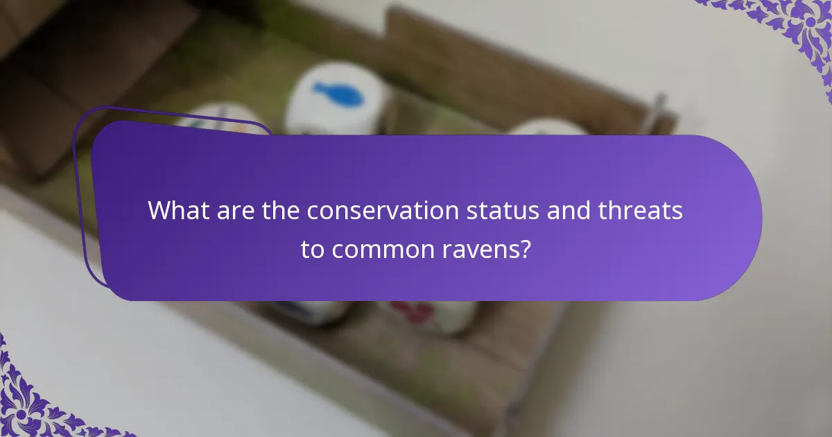 What are the conservation status and threats to common ravens?