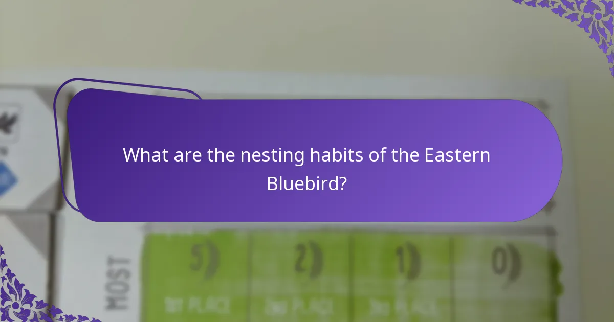What does the Eastern Bluebird eat?