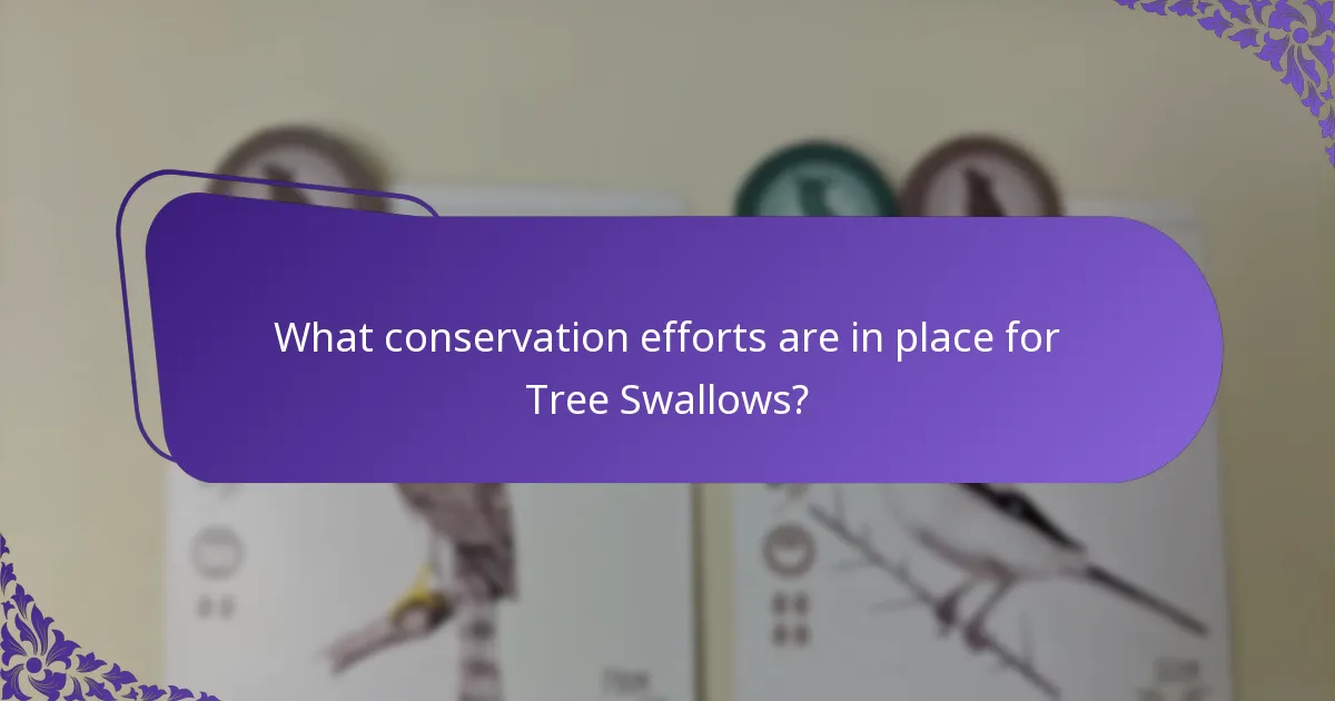 How do Tree Swallows interact with their ecosystem?