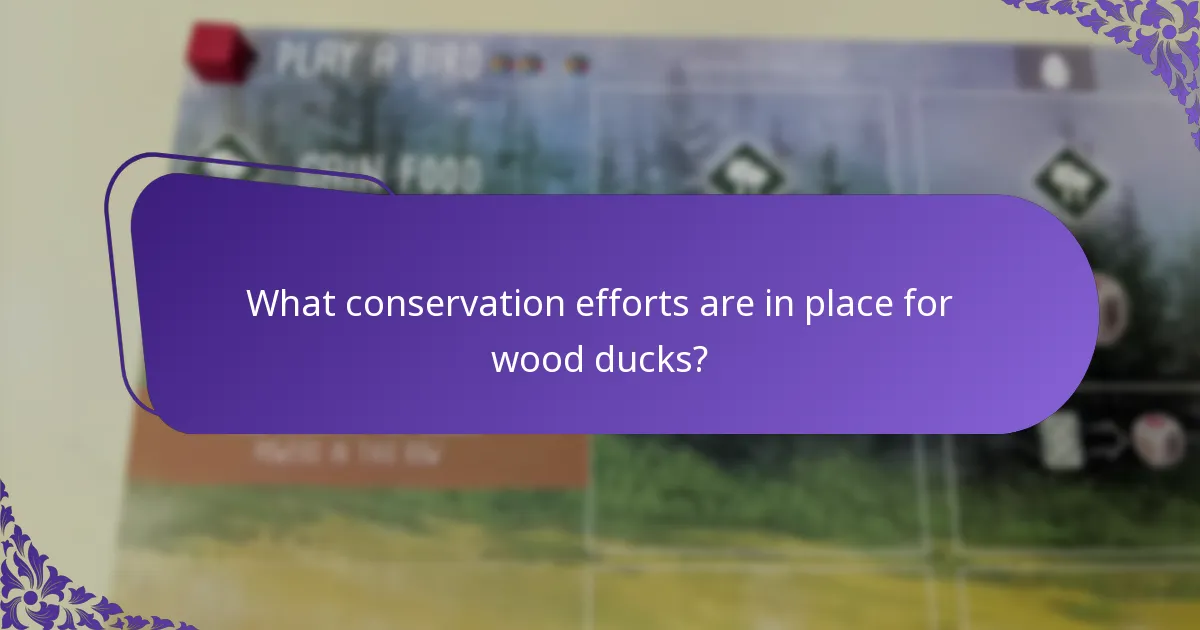 How do wood ducks compare to other duck species?