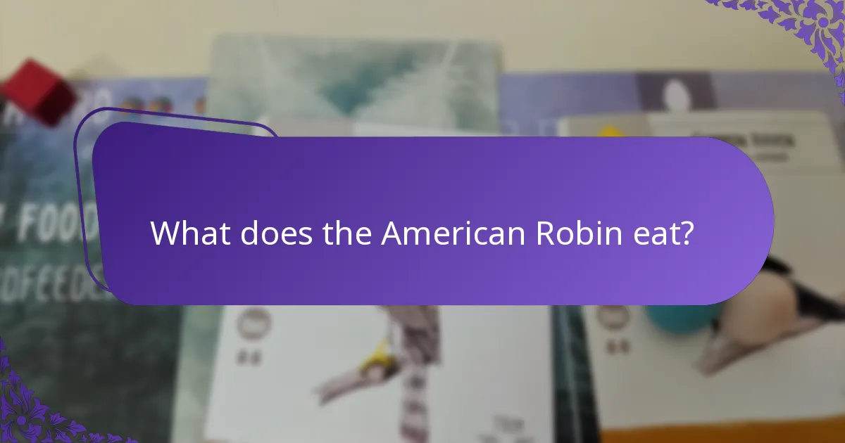 What is the wingspan of the American Robin?
