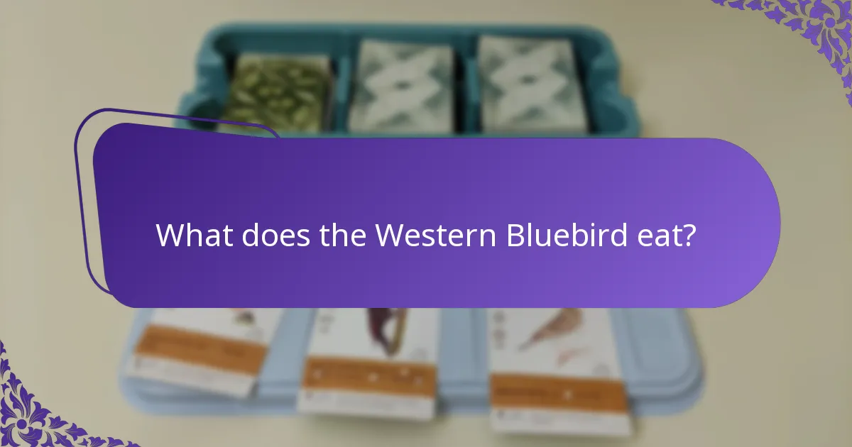 Which conservation efforts support Western Bluebird populations?