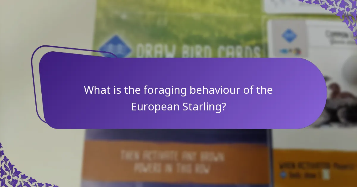 What are the ecological impacts of the European Starling?