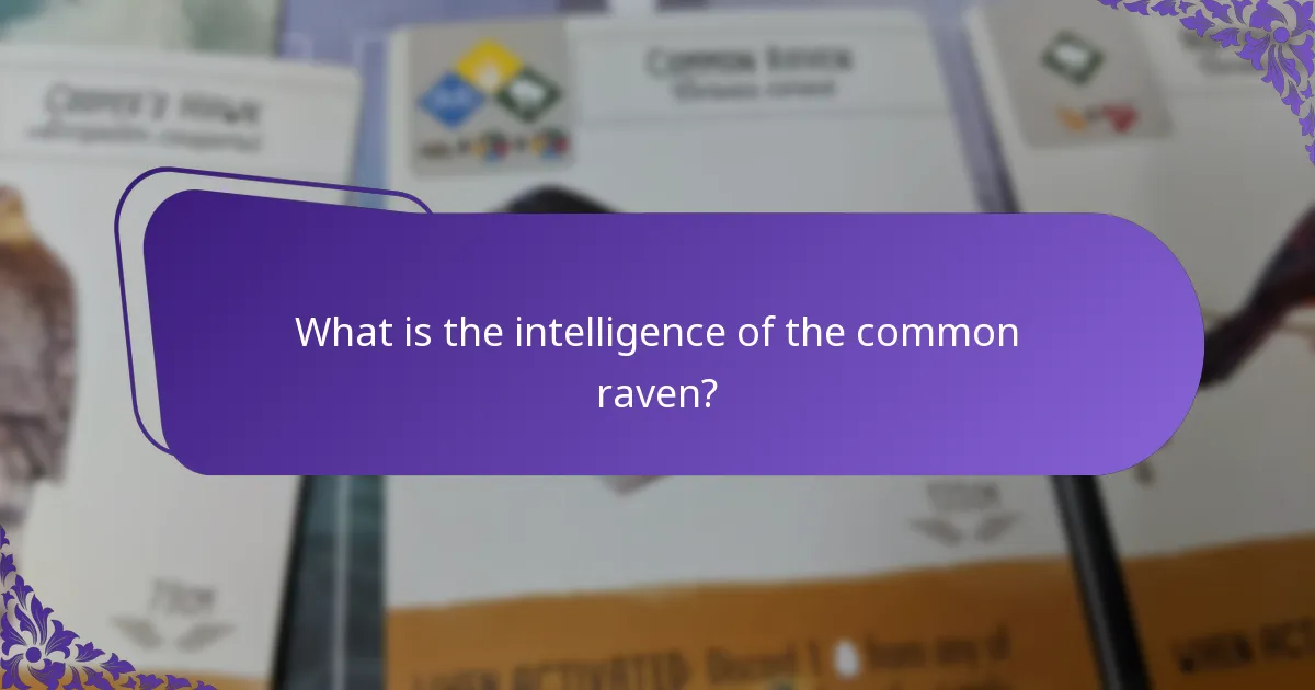 How do common ravens compare to other corvids?